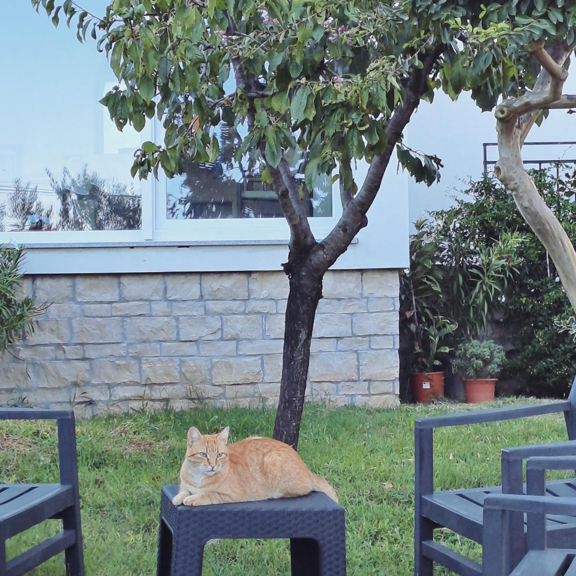 New Apartment Vivano Val With Amazing View زامبراتيجا المظهر الخارجي الصورة